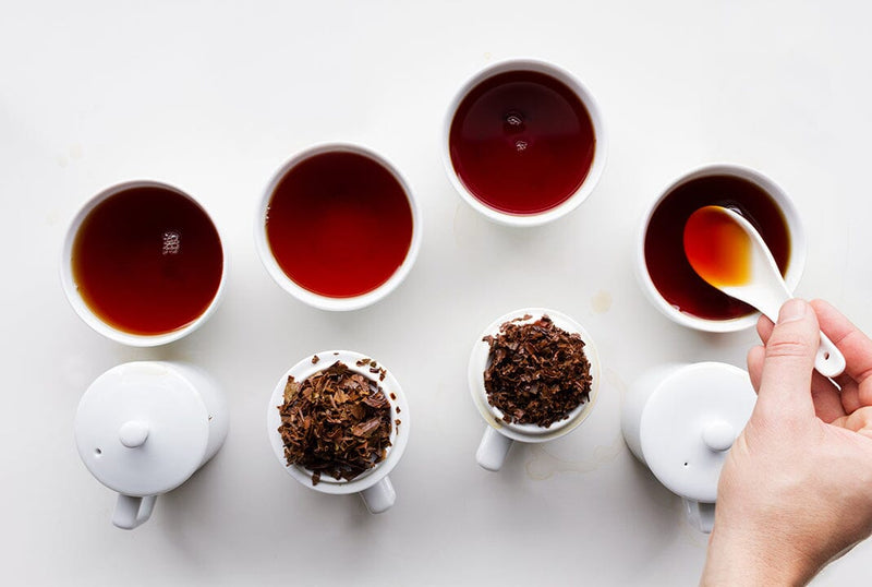 What Is Black Tea