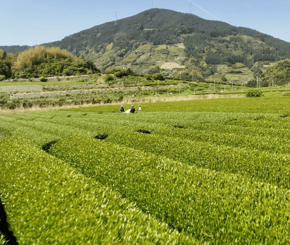 Shimizu, Shizuoka, Japan