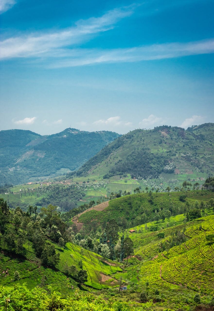 Tamil Nadu, India