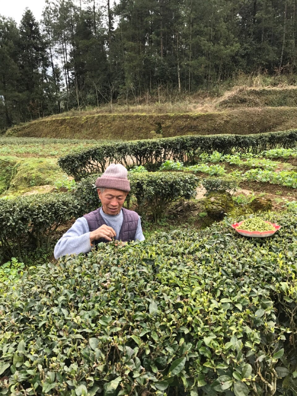 Xiaoguan, Hubei, China