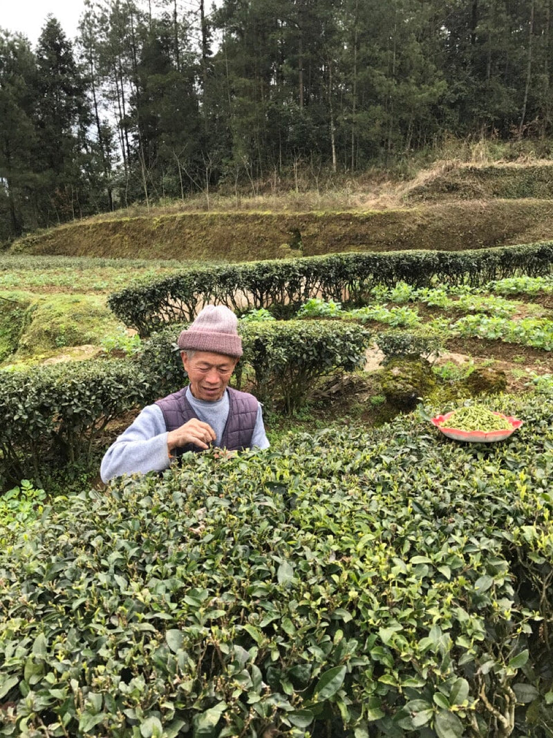 Xiaoguan, Hubei, China
