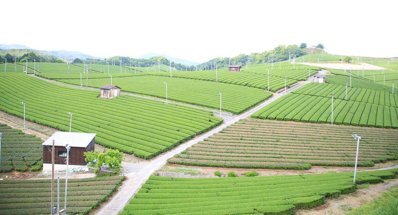 Fukuoka, Japan